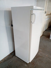Tall  Haier HR-288 250 ltr  Tall  Fridge UK Delivery Q40